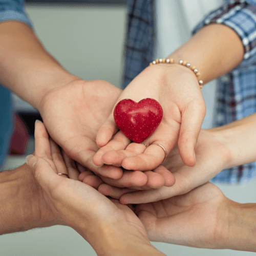 Manos unidas sosteniendo una fresa en forma de corazón simbolizando generosidad y cuidado.